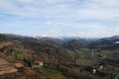 foresta demaniale montone in