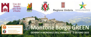 energia-montone